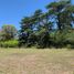  Land for sale in Monte, Buenos Aires, Monte