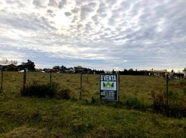  Land for sale in Monte, Buenos Aires, Monte