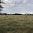  Land for sale in Monte, Buenos Aires, Monte