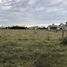  Land for sale in Monte, Buenos Aires, Monte