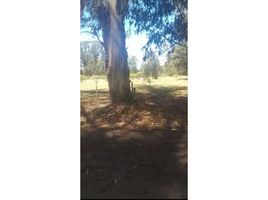  Land for sale in Necochea, Buenos Aires, Necochea