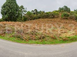 Estudio Casa en venta en Antioquia, Retiro, Antioquia