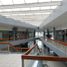2,390 Sqft Office for rent in Colima, Colima, Colima
