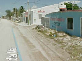 在Campeche出租的 土地, Carmen, Campeche