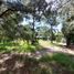  Land for sale in Villa Gesell, Buenos Aires, Villa Gesell