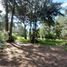  Land for sale in Villa Gesell, Buenos Aires, Villa Gesell