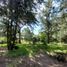  Land for sale in Villa Gesell, Buenos Aires, Villa Gesell