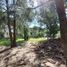  Land for sale in Villa Gesell, Buenos Aires, Villa Gesell