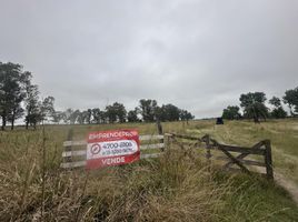  Terreno (Parcela) en venta en San Vicente, Buenos Aires, San Vicente