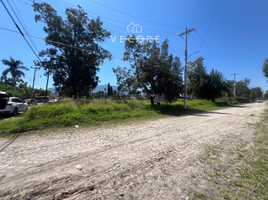 Terrain à vendre à Ixtlahuacan De Los Membrillos, Jalisco, Ixtlahuacan De Los Membrillos