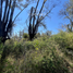 Terrain à vendre à Ixtlahuacan De Los Membrillos, Jalisco, Ixtlahuacan De Los Membrillos