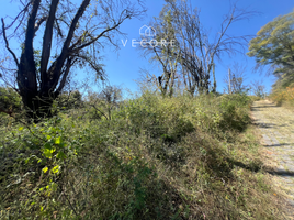 Terrain à vendre à Ixtlahuacan De Los Membrillos, Jalisco, Ixtlahuacan De Los Membrillos