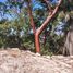  Land for sale in Puerto Vallarta, Jalisco, Puerto Vallarta