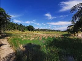  Terreno (Parcela) en venta en San Martín, Tarapoto, San Martín, San Martín