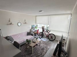 2 Schlafzimmer Appartement zu vermieten in Chile, Nueva Imperial, Cautin, Araucania, Chile
