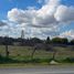 Terreno (Parcela) en venta en Chile, Chillan, Diguillín, Ñuble, Chile