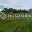  Terreno (Parcela) en venta en Los Lagos, Osorno, Osorno, Los Lagos