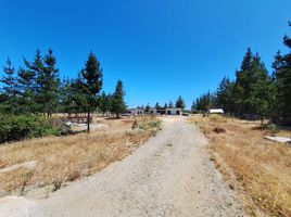  Land for sale in Chile, Casa Blanca, Valparaiso, Valparaiso, Chile