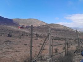  Land for sale in Chile, La Serena, Elqui, Coquimbo, Chile