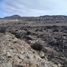  Land for sale in Chile, La Serena, Elqui, Coquimbo, Chile