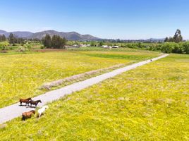  Land for sale in Chile, San Clemente, Talca, Maule, Chile