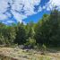  Land for sale in Maullin, Los Lagos, Maullin