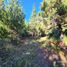  Land for sale in Llanquihue, Los Lagos, Puerto Varas, Llanquihue