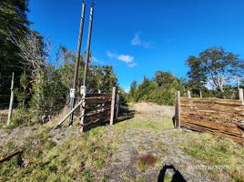  Land for sale in Llanquihue, Los Lagos, Puerto Varas, Llanquihue