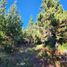 Land for sale in Llanquihue, Los Lagos, Puerto Varas, Llanquihue