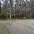  Land for sale in Chile, Quemchi, Chiloe, Los Lagos, Chile