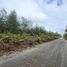  Land for sale in Chile, Quemchi, Chiloe, Los Lagos, Chile