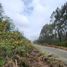  Land for sale in Chile, Quemchi, Chiloe, Los Lagos, Chile