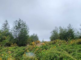  Land for sale in Chile, Quemchi, Chiloe, Los Lagos, Chile