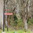  Land for sale in Chile, Quemchi, Chiloe, Los Lagos, Chile