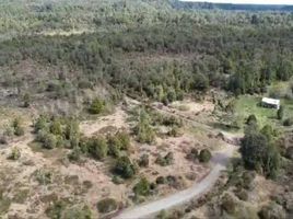  Terreno (Parcela) en venta en Los Lagos, Puerto Montt, Llanquihue, Los Lagos