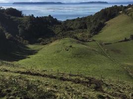  Land for sale in Chile, Quemchi, Chiloe, Los Lagos, Chile