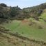  Land for sale in Chile, Quemchi, Chiloe, Los Lagos, Chile