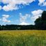  Land for sale in Cautin Araucania, Villarrica, Cautin, Araucania, Chile