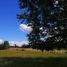  Land for sale in Cautin Araucania, Villarrica, Cautin, Araucania, Chile