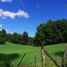  Land for sale in Cautin Araucania, Villarrica, Cautin, Araucania, Chile