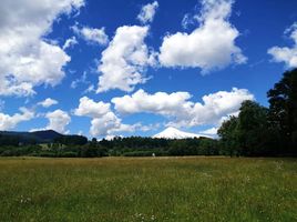  Land for sale in Cautin Araucania, Villarrica, Cautin, Araucania, Chile