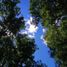  Land for sale in Cautin Araucania, Villarrica, Cautin, Araucania, Chile