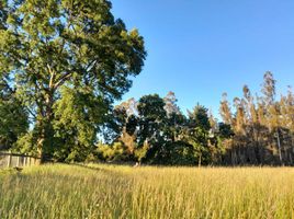  Terreno (Parcela) en venta en Chile, Nueva Imperial, Cautín, Araucanía, Chile
