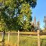  Terreno (Parcela) en venta en Chile, Nueva Imperial, Cautín, Araucanía, Chile