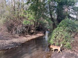  Terreno (Parcela) en venta en Ñuble, Pemuco, Diguillín, Ñuble
