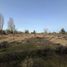  Terreno (Parcela) en venta en Ñuble, Pemuco, Diguillín, Ñuble