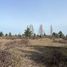  Terreno (Parcela) en venta en Ñuble, Pemuco, Diguillín, Ñuble