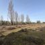  Terreno (Parcela) en venta en Ñuble, Pemuco, Diguillín, Ñuble
