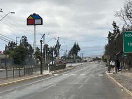  Land for sale in Chile, Vallenar, Huasco, Atacama, Chile
