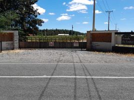  Terreno (Parcela) en venta en Chile, Cabrero, Biobío, Biobío, Chile